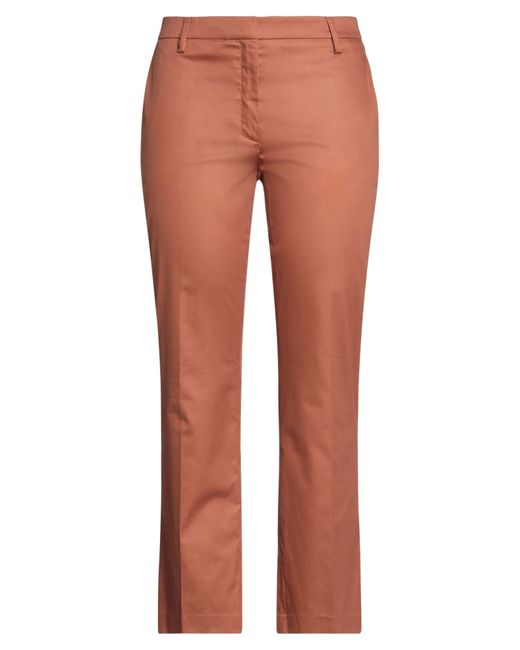 True Royal Multicolor Trouser