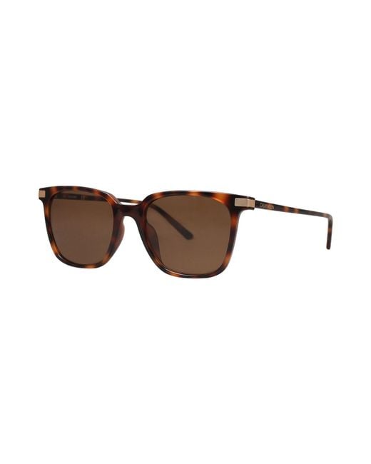 Calvin Klein Brown Sunglasses for men
