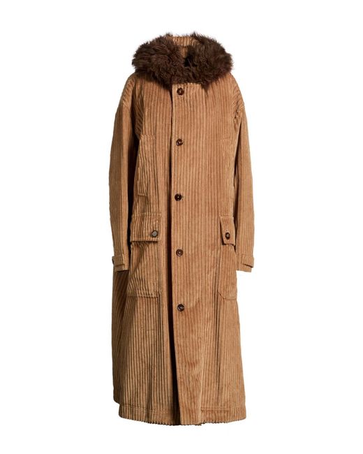 Dolce & Gabbana Brown Camel Coat Cotton, Lambswool, Polyester