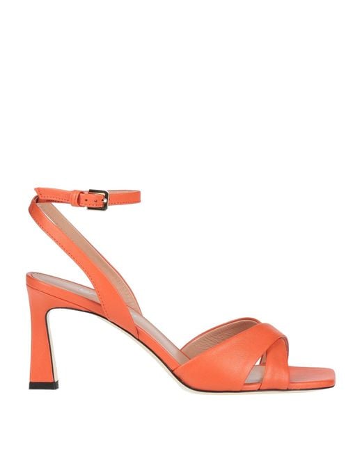 Pollini Pink Sandals