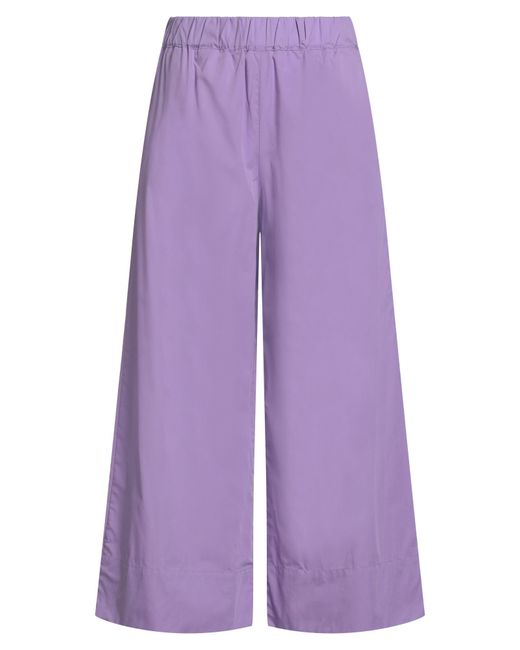 MAX&Co. Purple Pants
