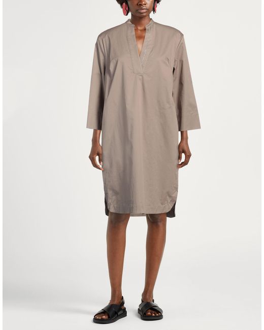Peserico Brown Midi Dress