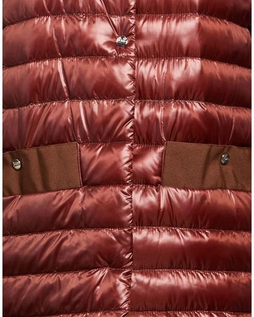 Herno Red Puffers