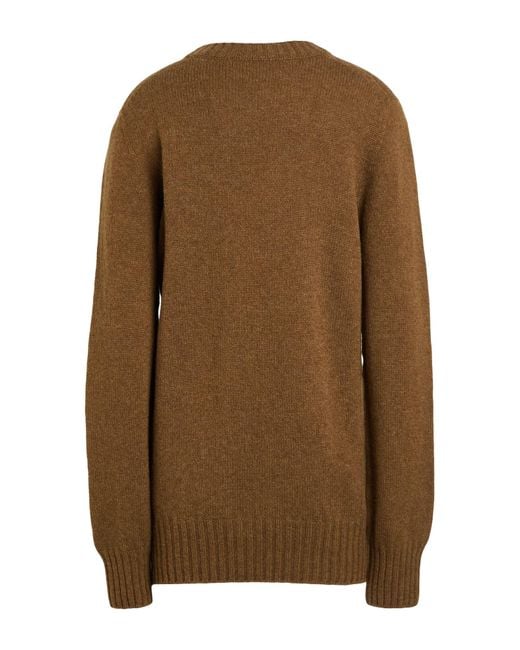 Philosophy Di Lorenzo Serafini Brown Jumper