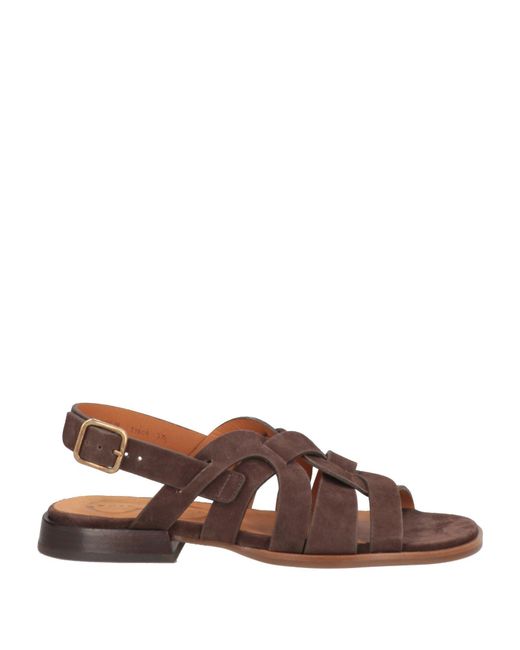 Chie Mihara Brown Sandale