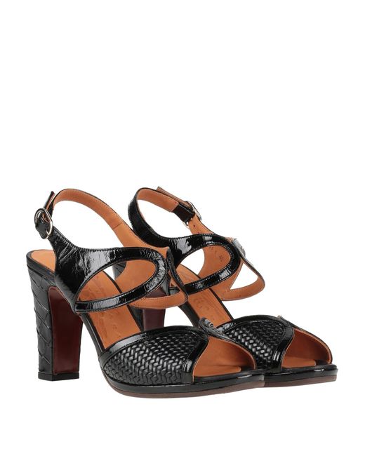 Chie Mihara Black Sandals