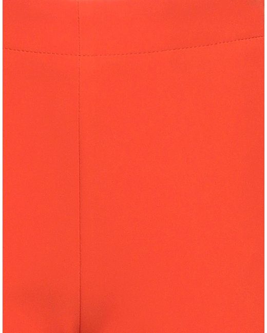 Angela Davis Red Pants