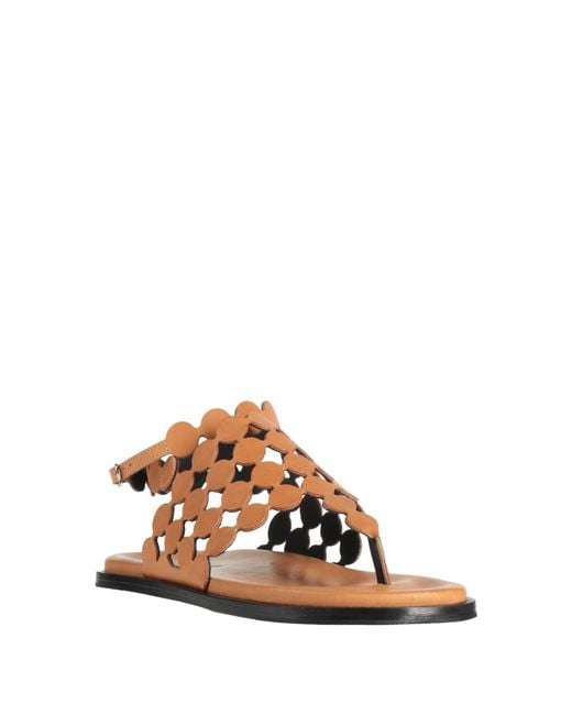 Sandalias De Dedo Pierre Hardy de color Brown