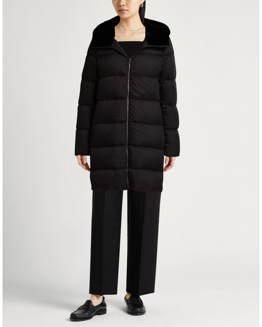 Herno Black Puffer Polyester