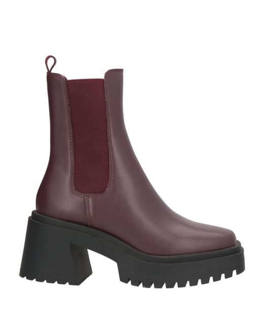 Steve Madden Purple Ankle Boots