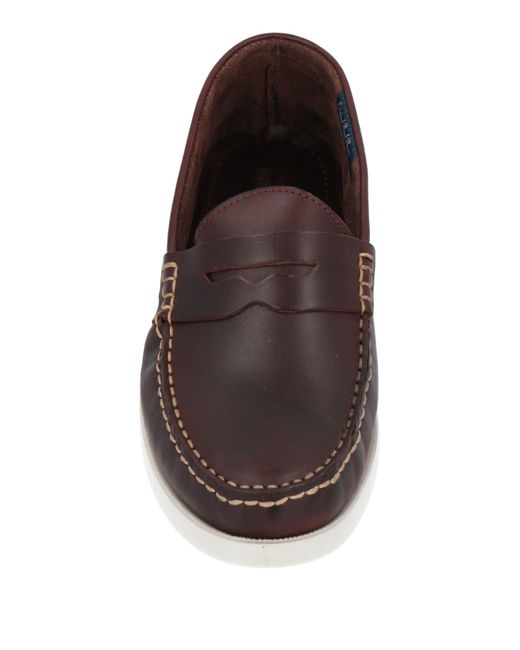 Docksteps Brown Loafer for men