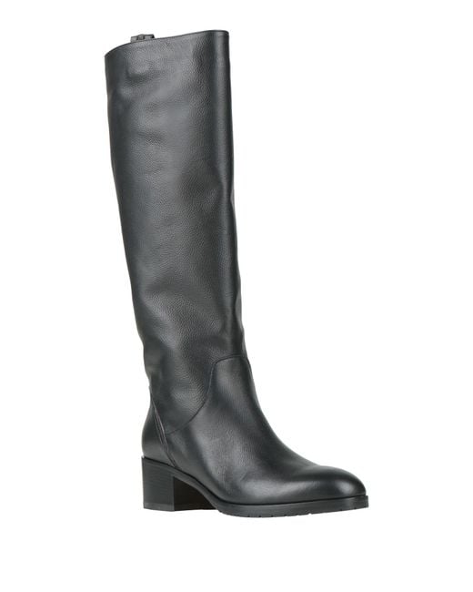 Doucal's Black Boot