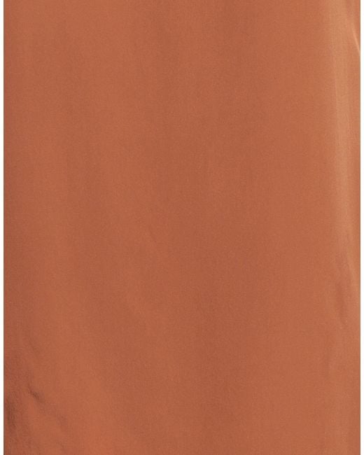Maliparmi Brown Top