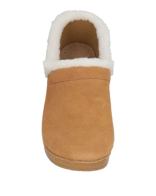 Dansko Brown Mules & Clogs
