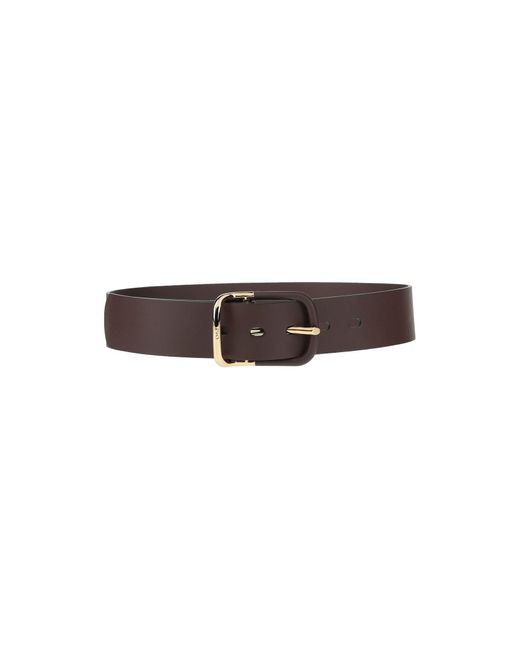 Chloé Leather Belt in Dark Brown (Brown 