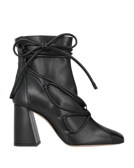 Botines De Caña Alta Sophia Webster de color Black