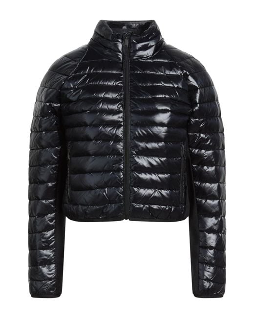 Calvin Klein Black Puffers