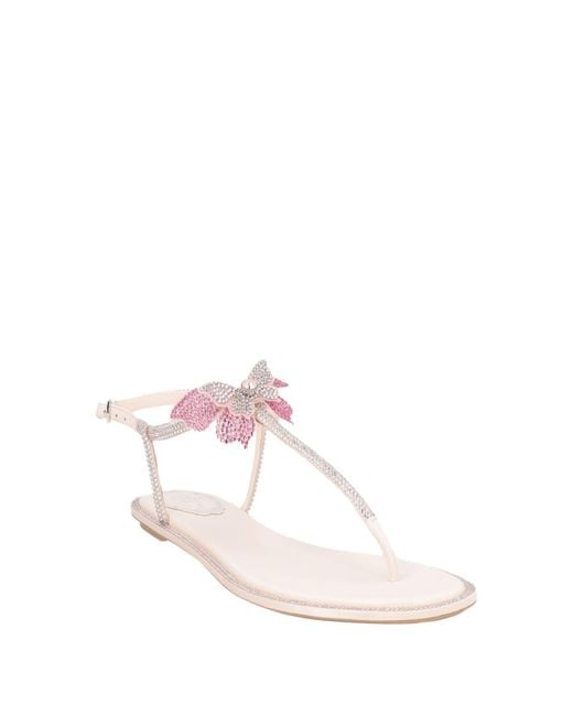 Rene Caovilla Pink Thong Sandal