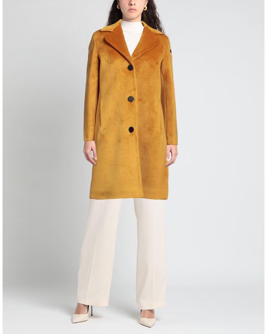 Rrd Yellow Coat