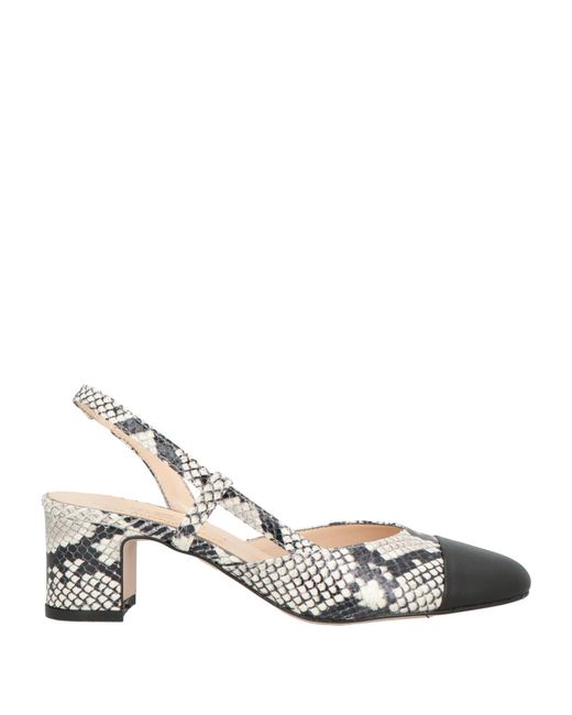 J.A.P. JOSE ANTONIO PEREIRA Metallic Pumps