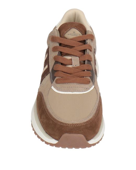 Hackett Brown Trainers for men
