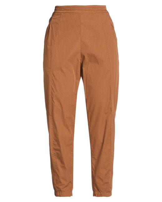 Transit Brown Pants