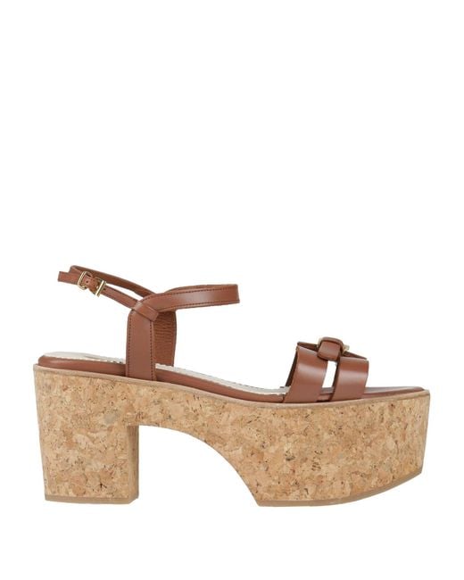 Clove Brown Mules & Clogs
