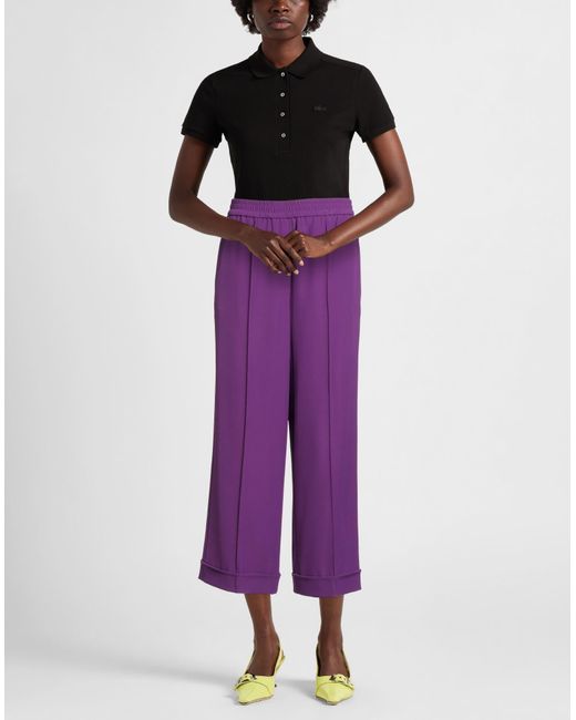 8pm Purple Pants
