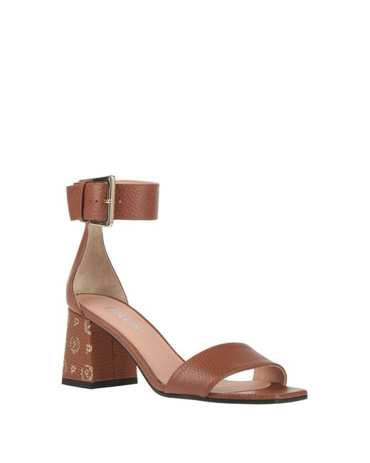 Pollini Brown Sandals Calfskin