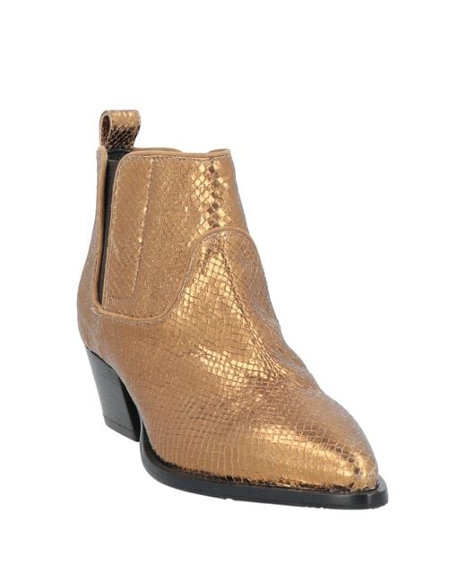 Bottines Fabi en coloris Brown