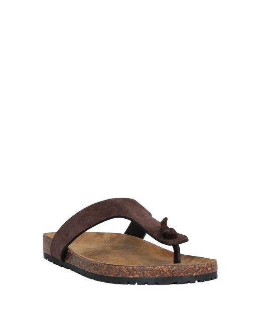 Saint Laurent Brown Toe Post Sandals