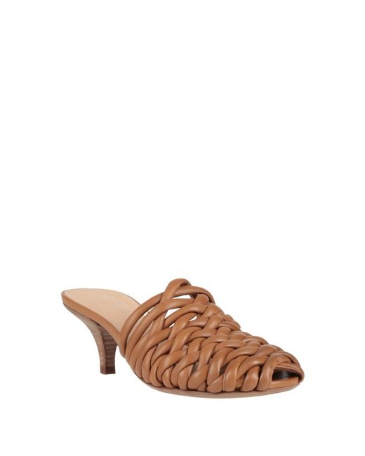 Marsèll Brown Mules & Clogs