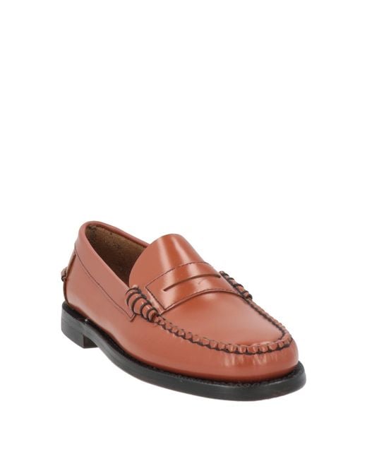 Sebago Brown Mokassin