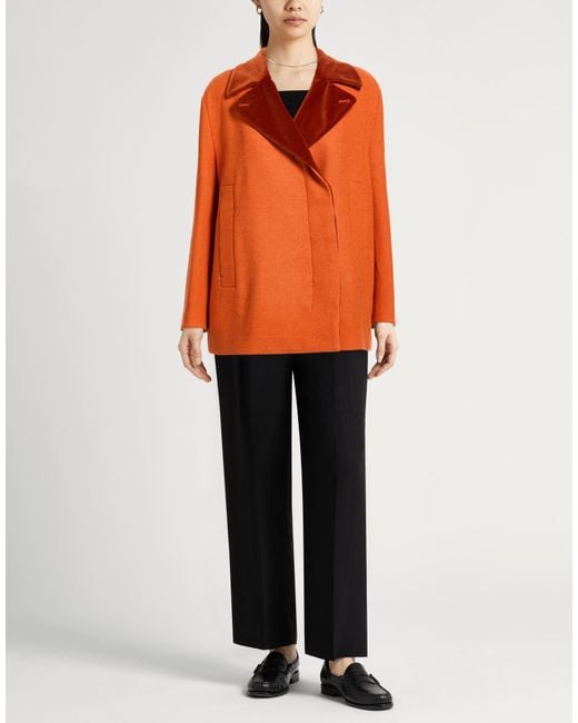 Maliparmi Orange Coat
