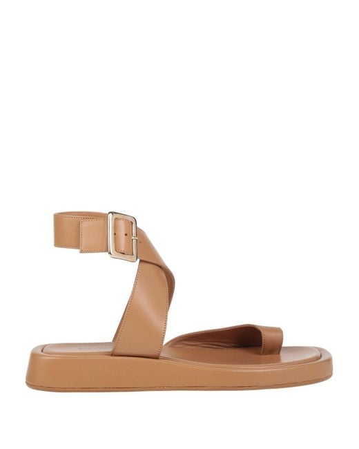 Gia Borghini Brown Thong Sandals