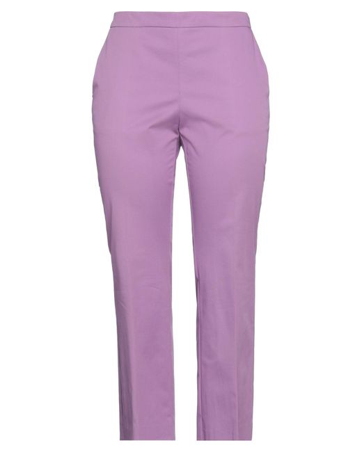 Maliparmi Purple Trouser