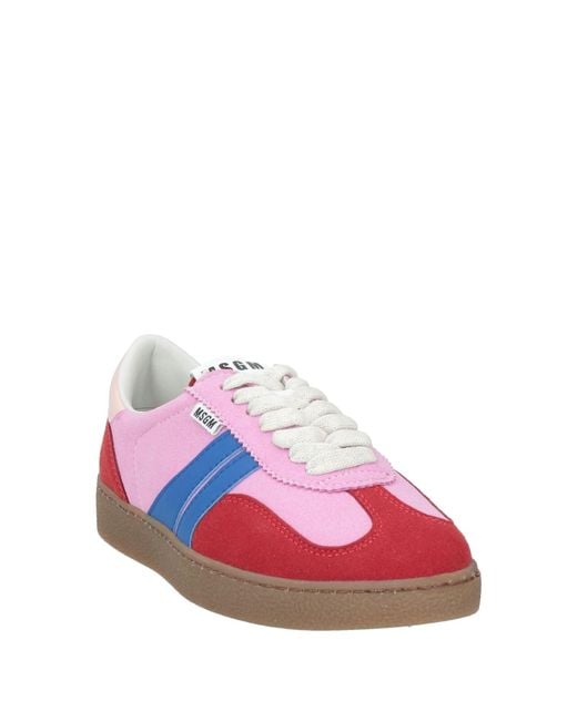 Sneakers di MSGM in Pink