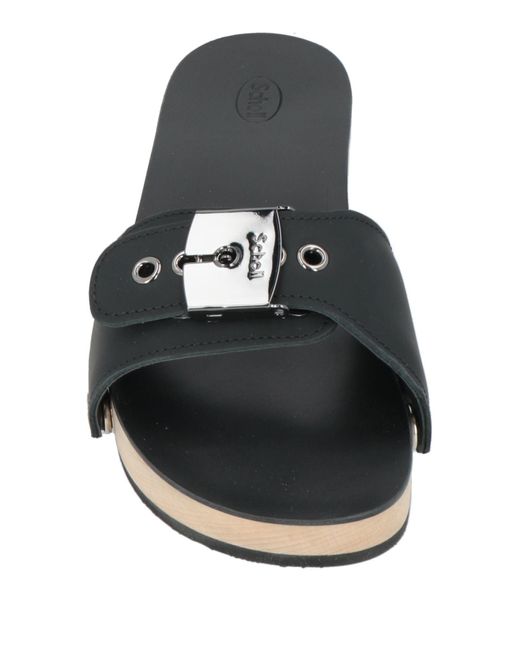 Scholl Black Mules & Clogs