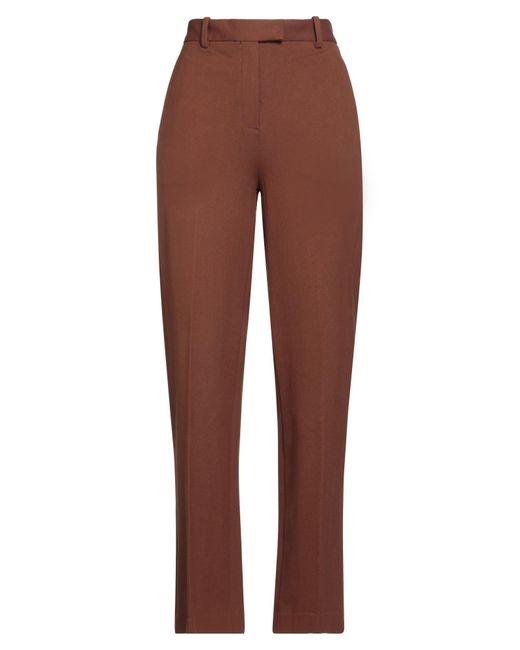 Circolo 1901 Brown Trouser