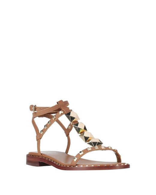 Ash Brown Sandals