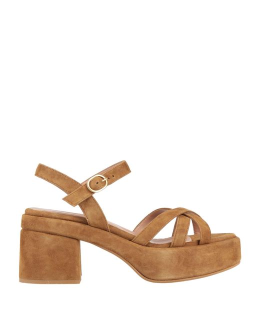 Bianca Di Brown Sandals