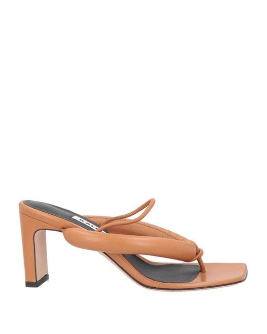 Kalliste Brown Thong Sandal