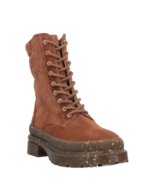Baldinini Brown Ankle Boots