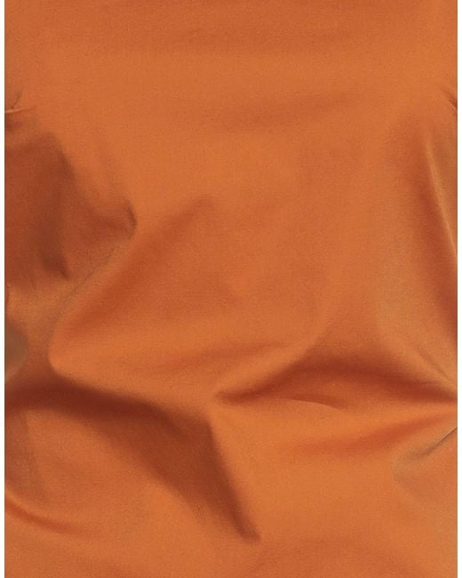 Siste's Brown Top