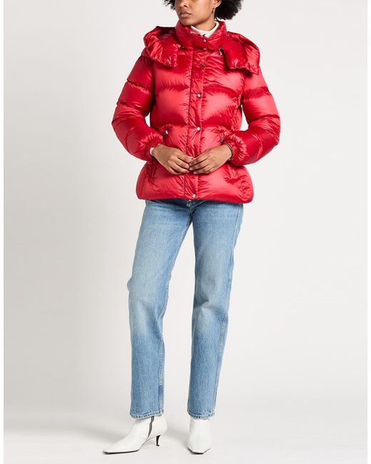 Add Red Puffers