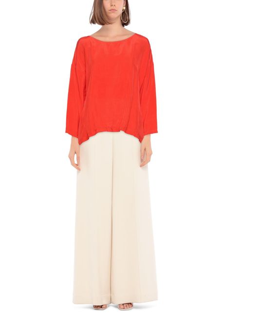 European Culture Red Top