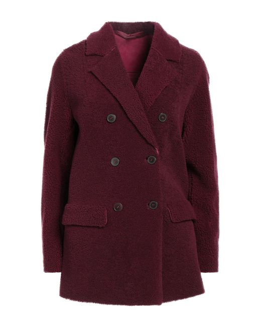 Salvatore Santoro Purple Coat