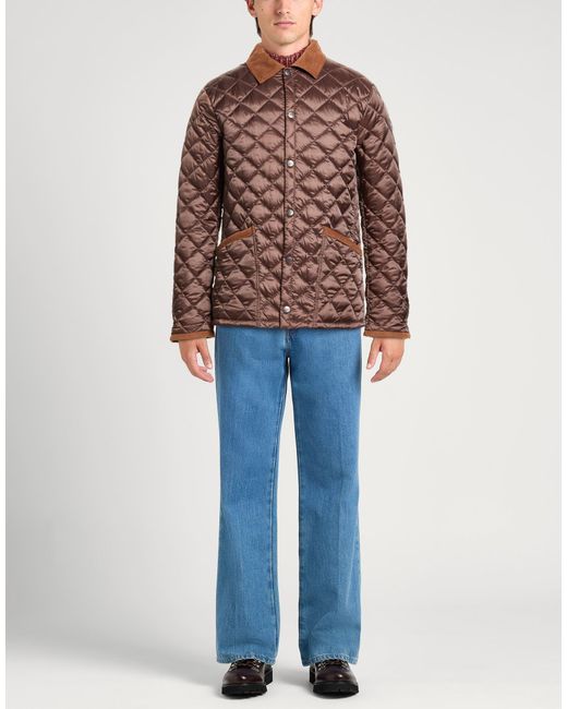 Husky Brown Puffers for men