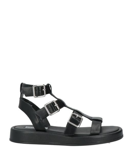 Sandali di Steve Madden in Black