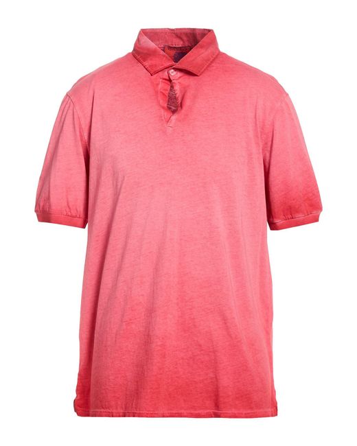 Polo Gallo de hombre de color Pink